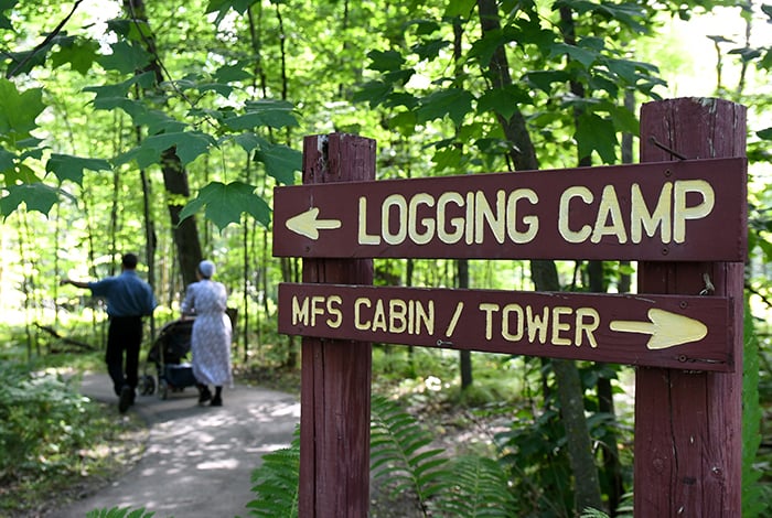 Logging camp.